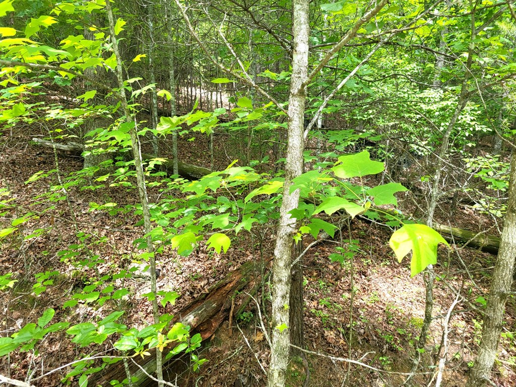 Lot 9 Folklore Court