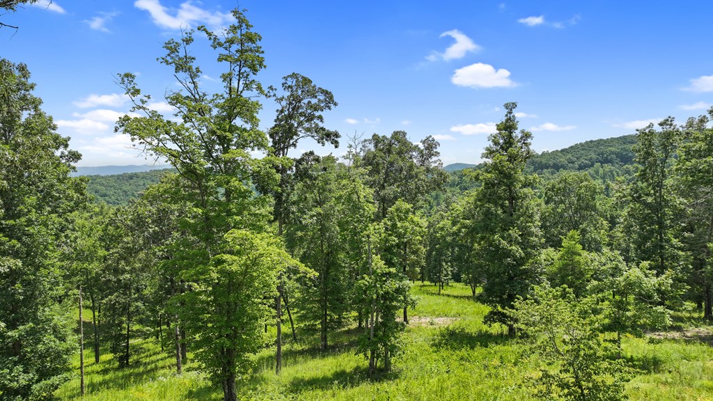 Lot 11 Haven Way