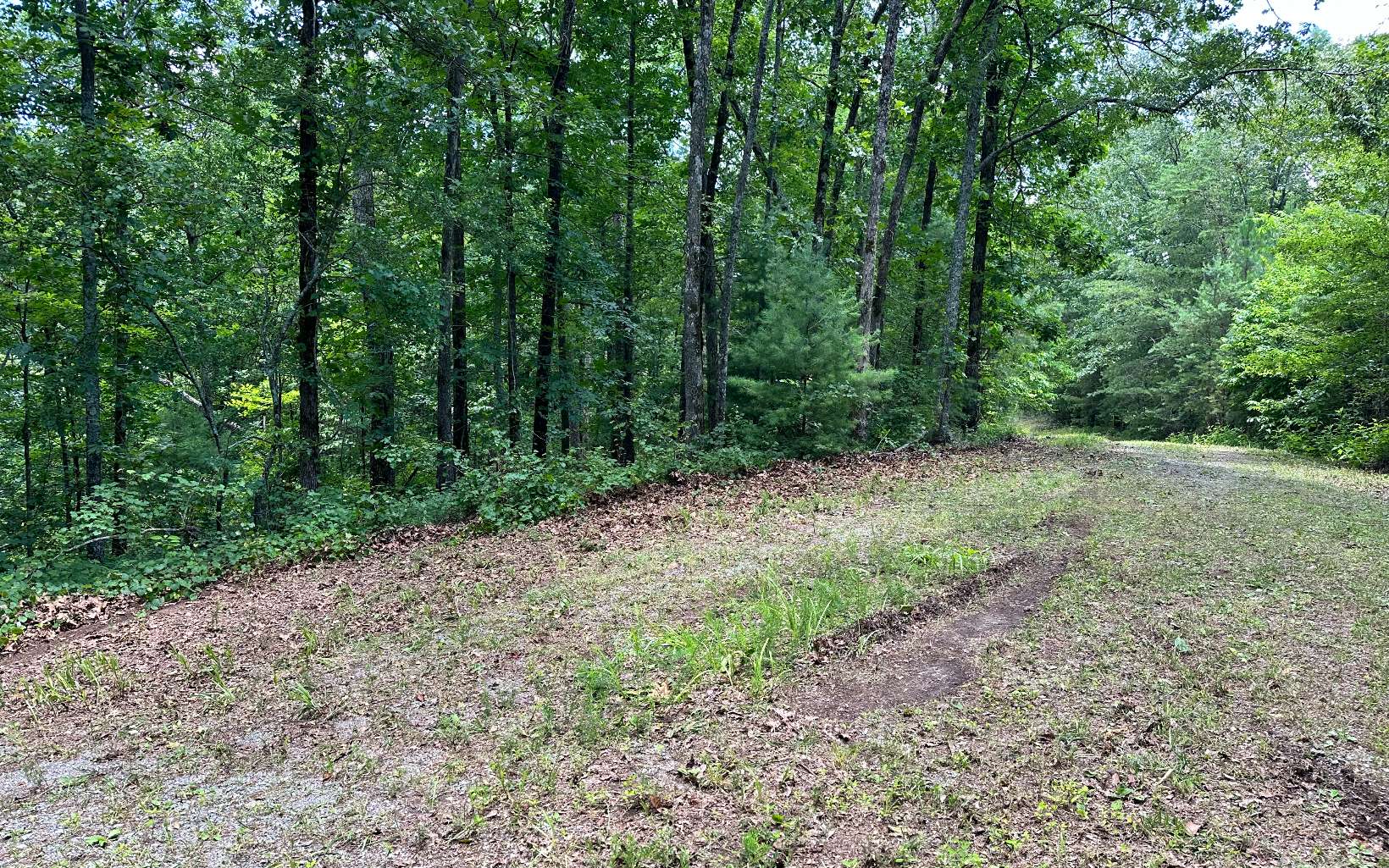 LT 1719 Rebekah Ridge Road