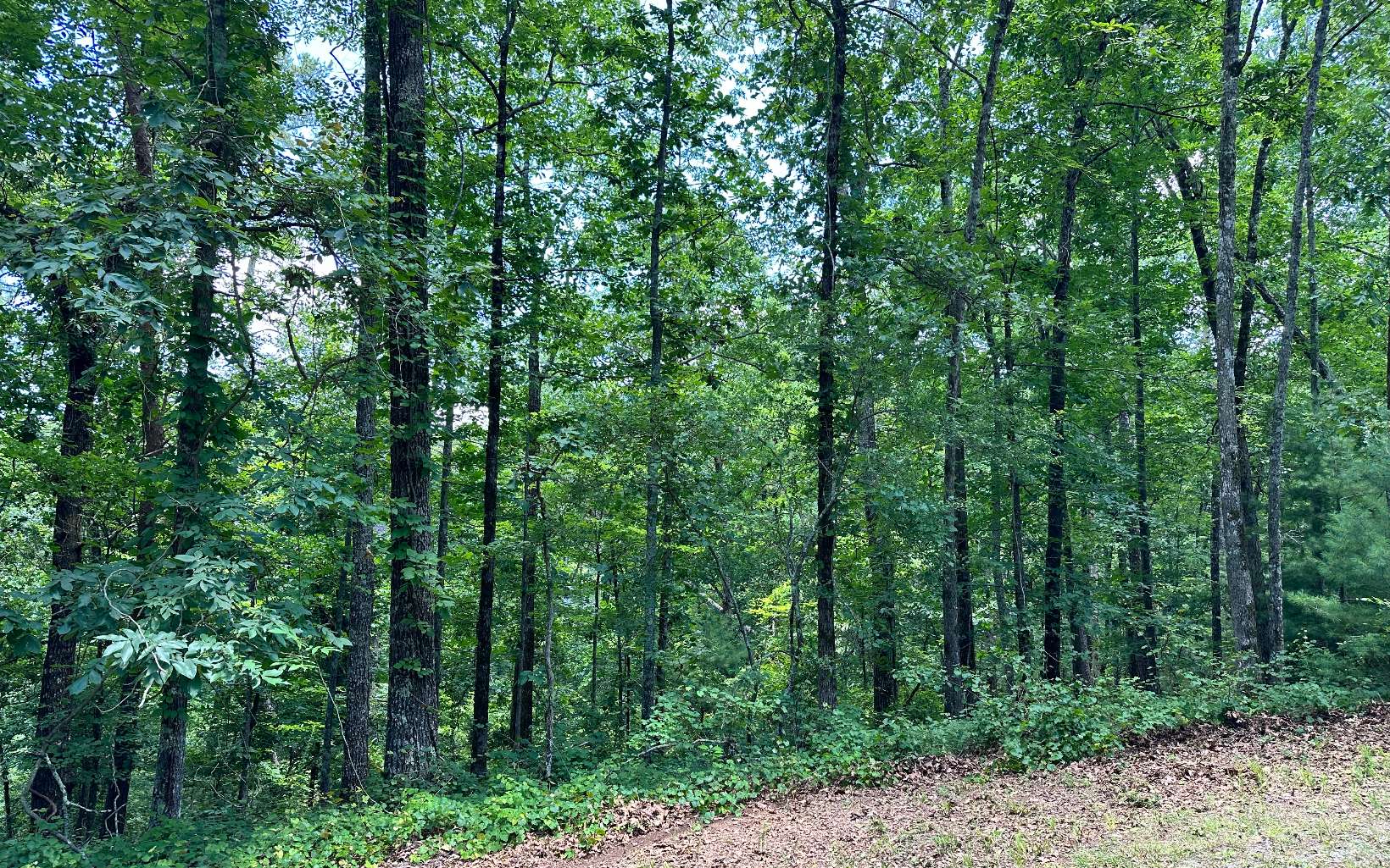 LT 1719 Rebekah Ridge Road