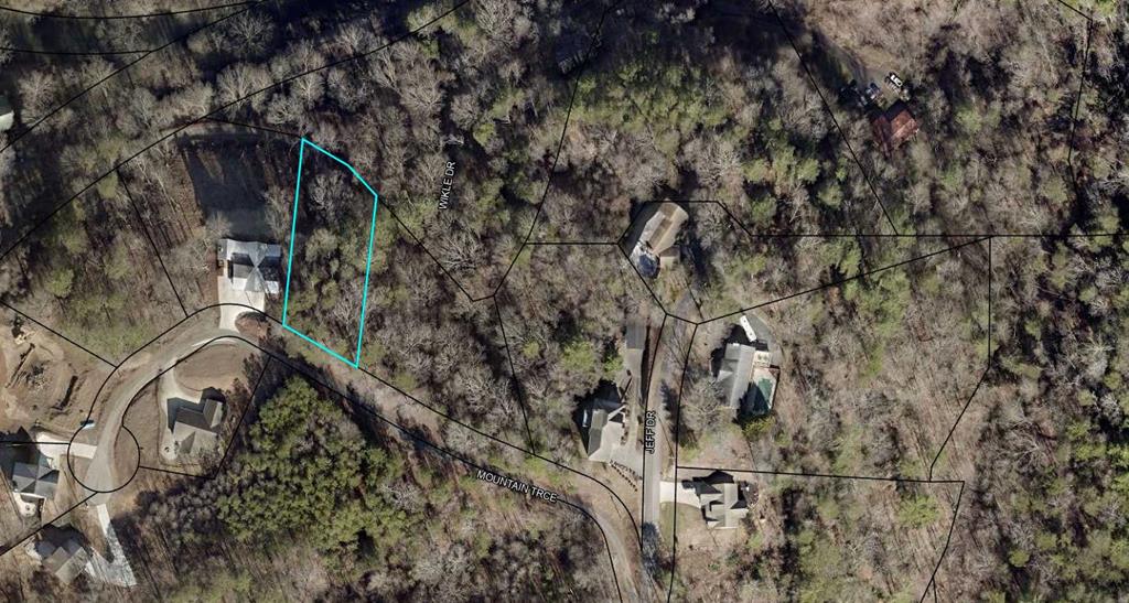 Lot 4 Mountain Trace