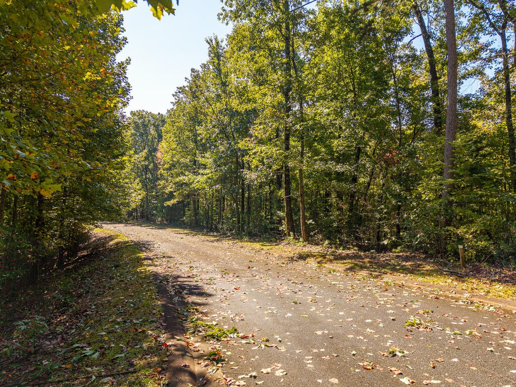 22/23 Abbott Mill Road