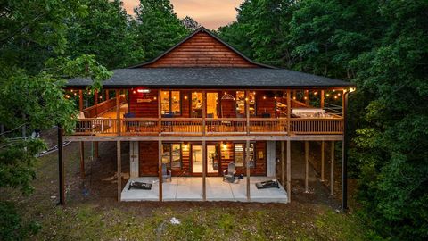 490 Walnut Hills Drive Mineral Bluff GA 30559