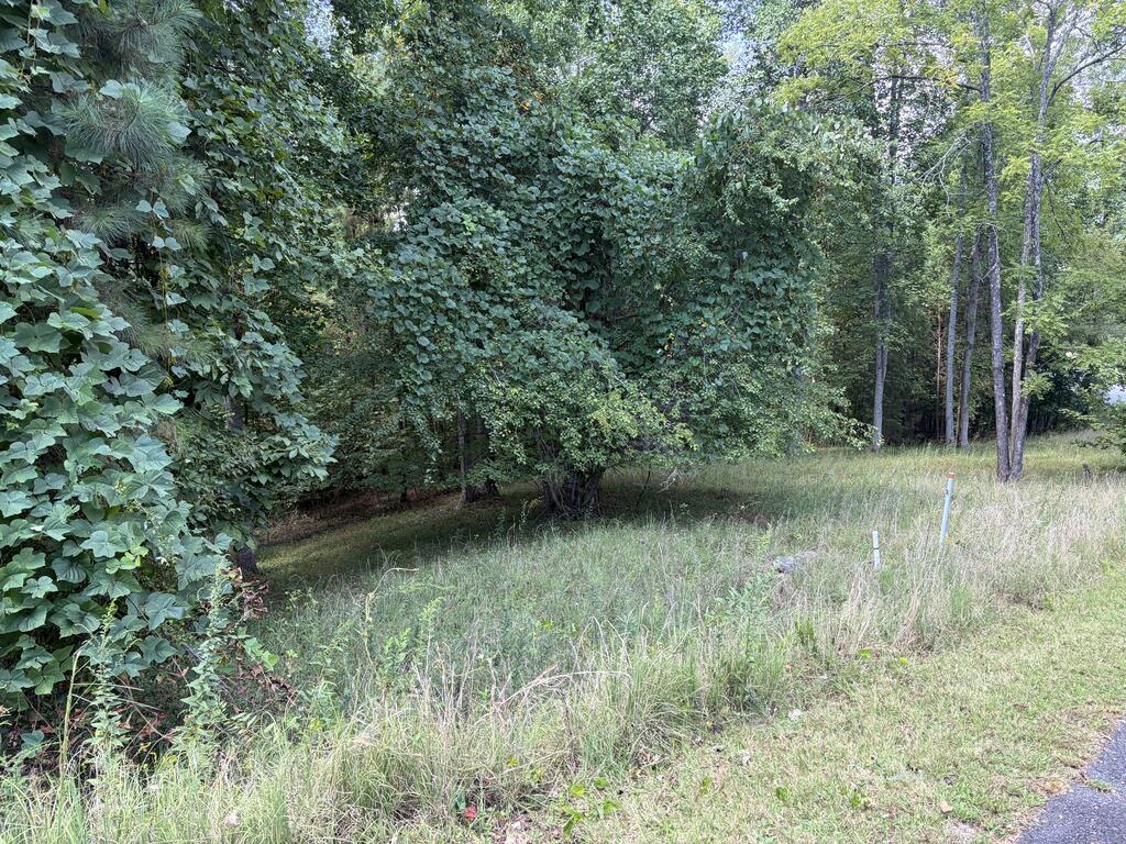 #41 Meadow Brooke Drive