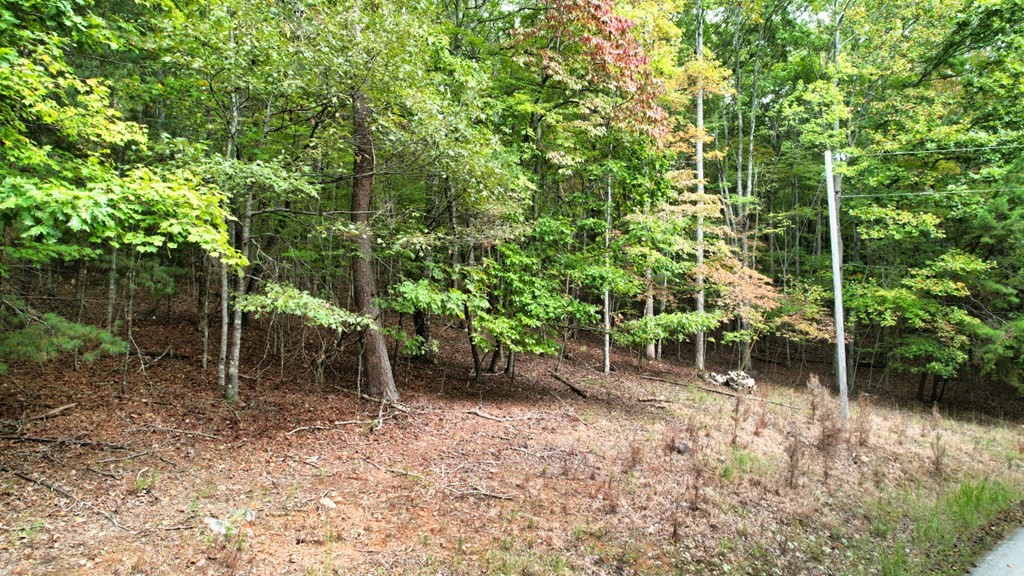 Lot32 Cold Springs Road