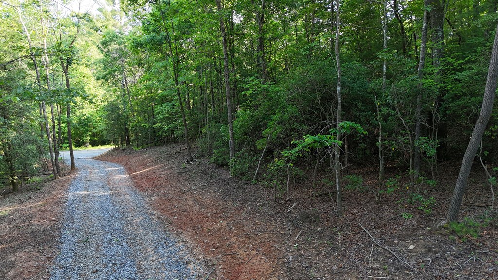 2.40 E New Hope Road E