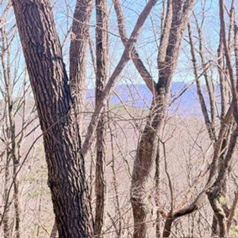 NA Pettit Ridge Road Ellijay GA 30540