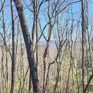 NA Pettit Ridge Road