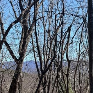 NA Pettit Ridge Road