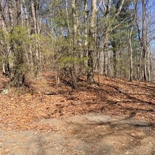 NA Pettit Ridge Road