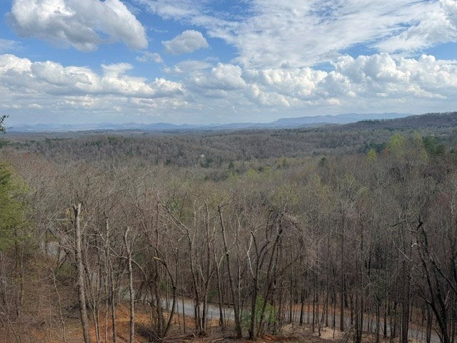 LT40 Lookout Drive
