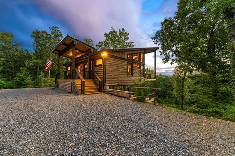 361 June Bug Lane Blue Ridge GA 30513