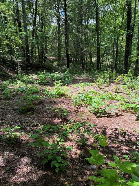 L66 67 Lynx Court Ellijay GA 30540