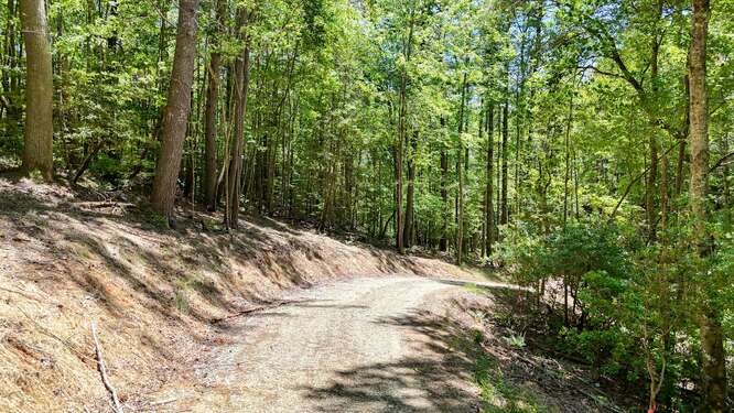 Tract 1 Fain Branch Road