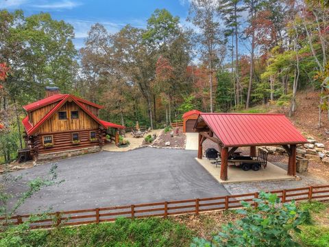 28 Fish Camp Way Mineral Bluff GA 30559