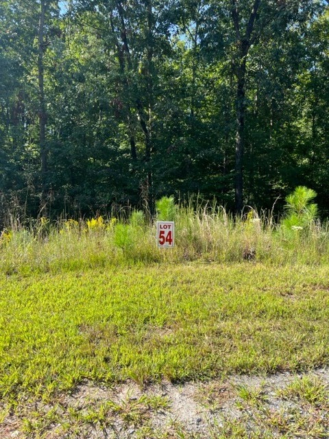 LT 54 Honeysuckle Way