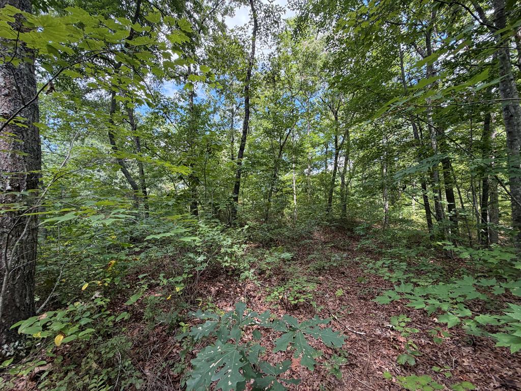 138 Harris Creek Drive