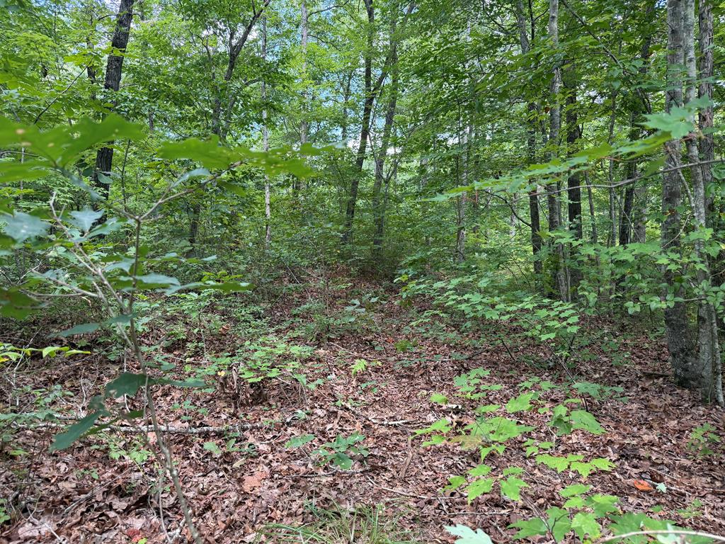 138 Harris Creek Drive