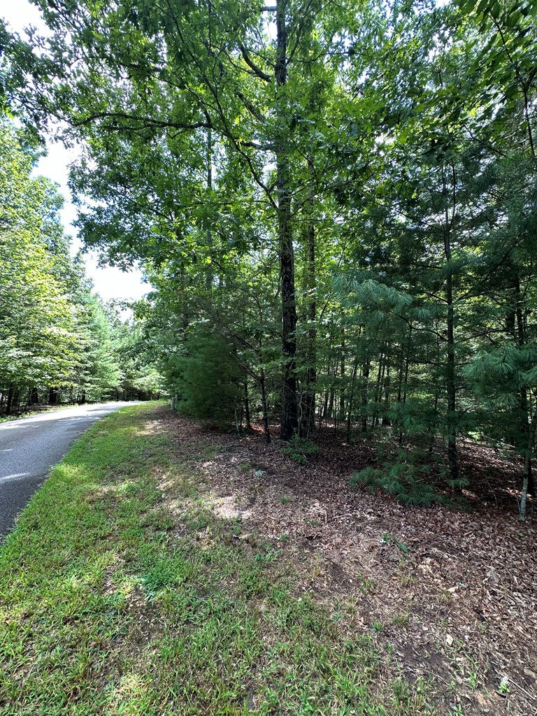 95 Rabbit Knob Drive