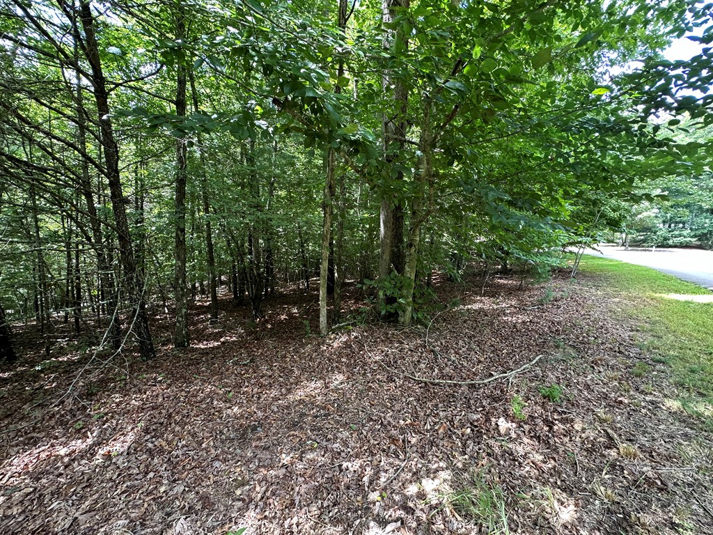 95 Rabbit Knob Drive