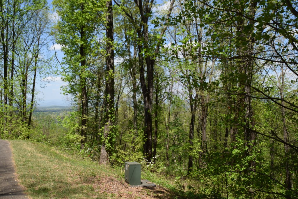 Lot 189 Hawks Nest Court