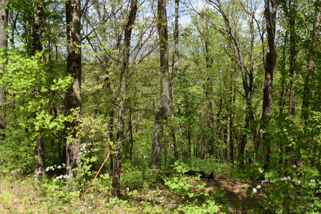 Lot 189 Hawks Nest Court