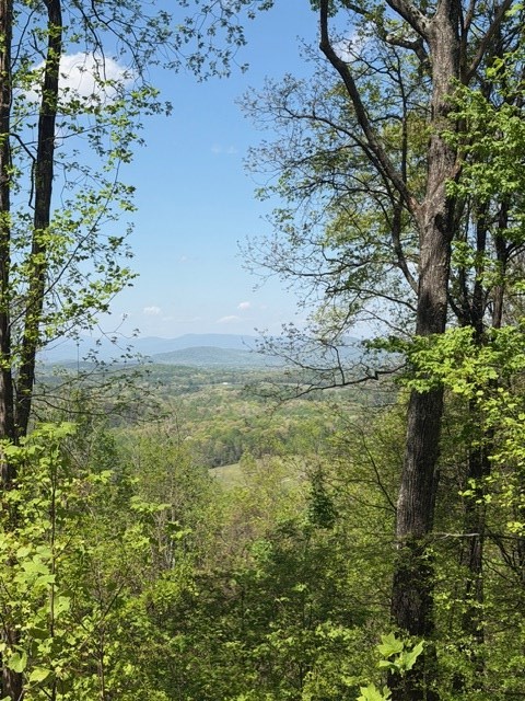 Lot 189 Hawks Nest Court