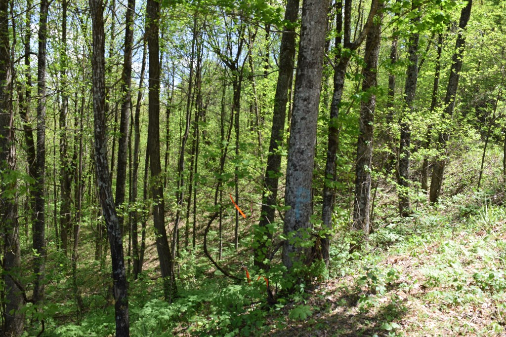 Lot 189 Hawks Nest Court