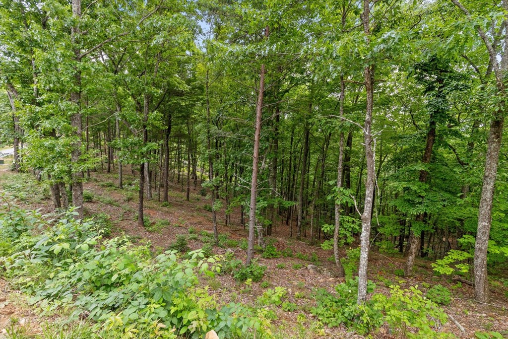 Lot 414 Calloway Mountain Road