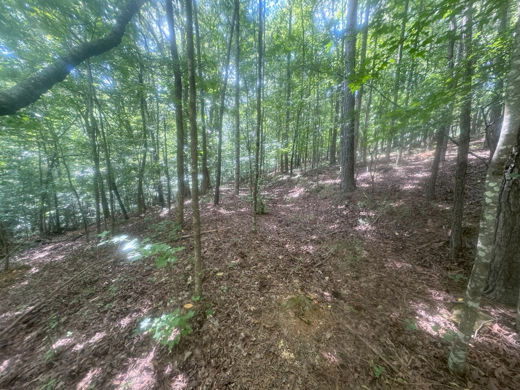 Lot 36 Hampton Farms Trail