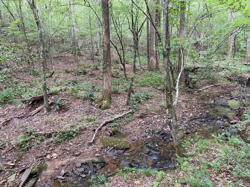 Lot 36 Hampton Farms Trail