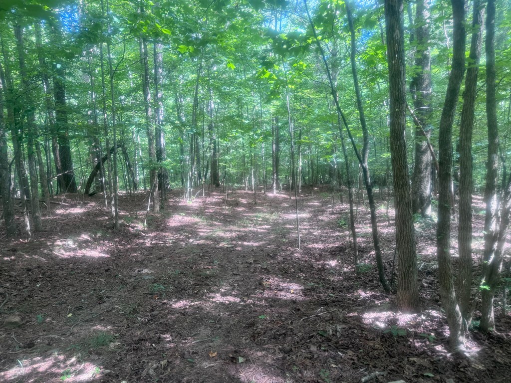 Lot 36 Hampton Farms Trail