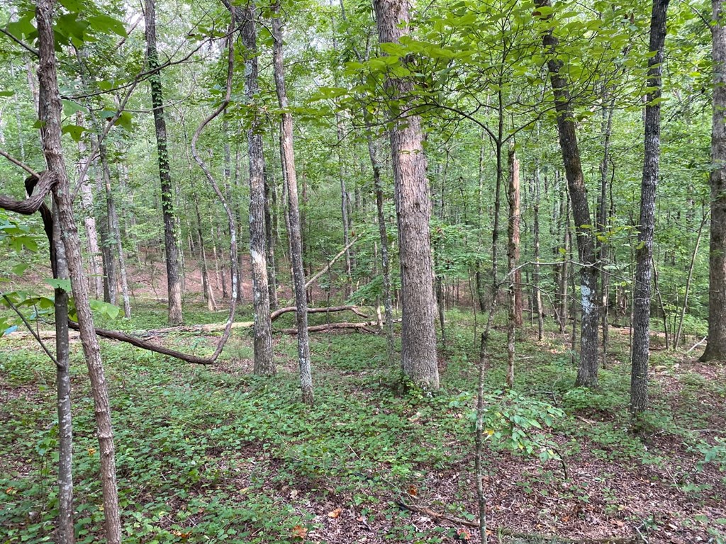 Lot 36 Hampton Farms Trail