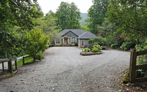 4819 Itsey Trail Hiawassee GA 30546