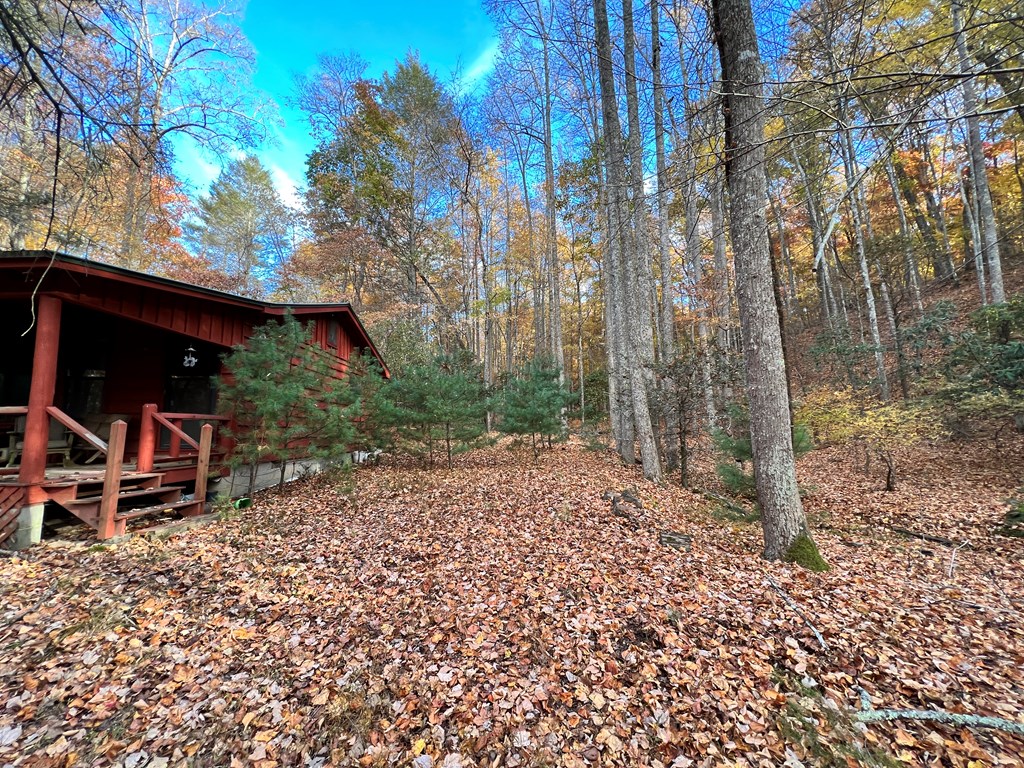 23 Briar Cove Lane