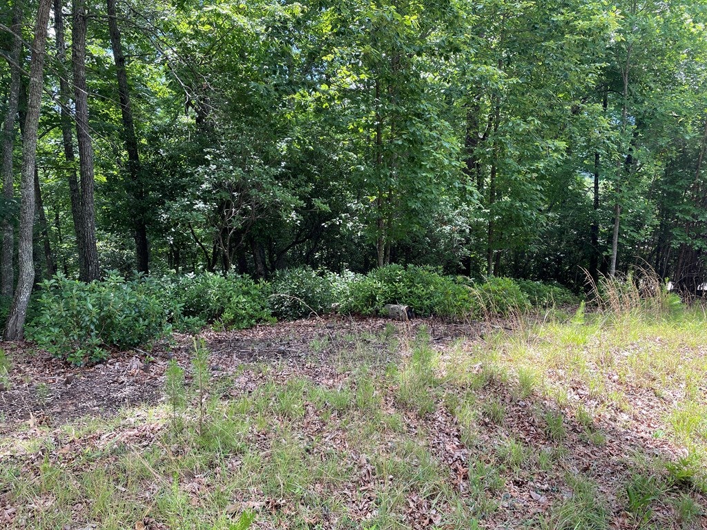 Lot 57 Asheland Overlook