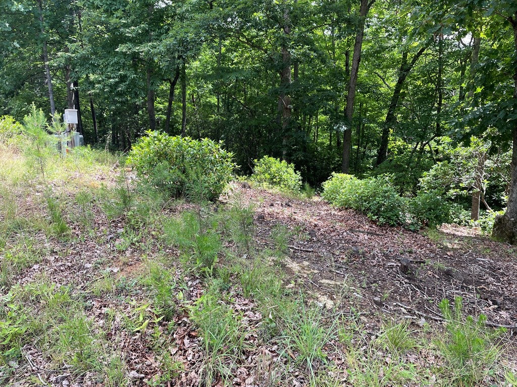 Lot 57 Asheland Overlook
