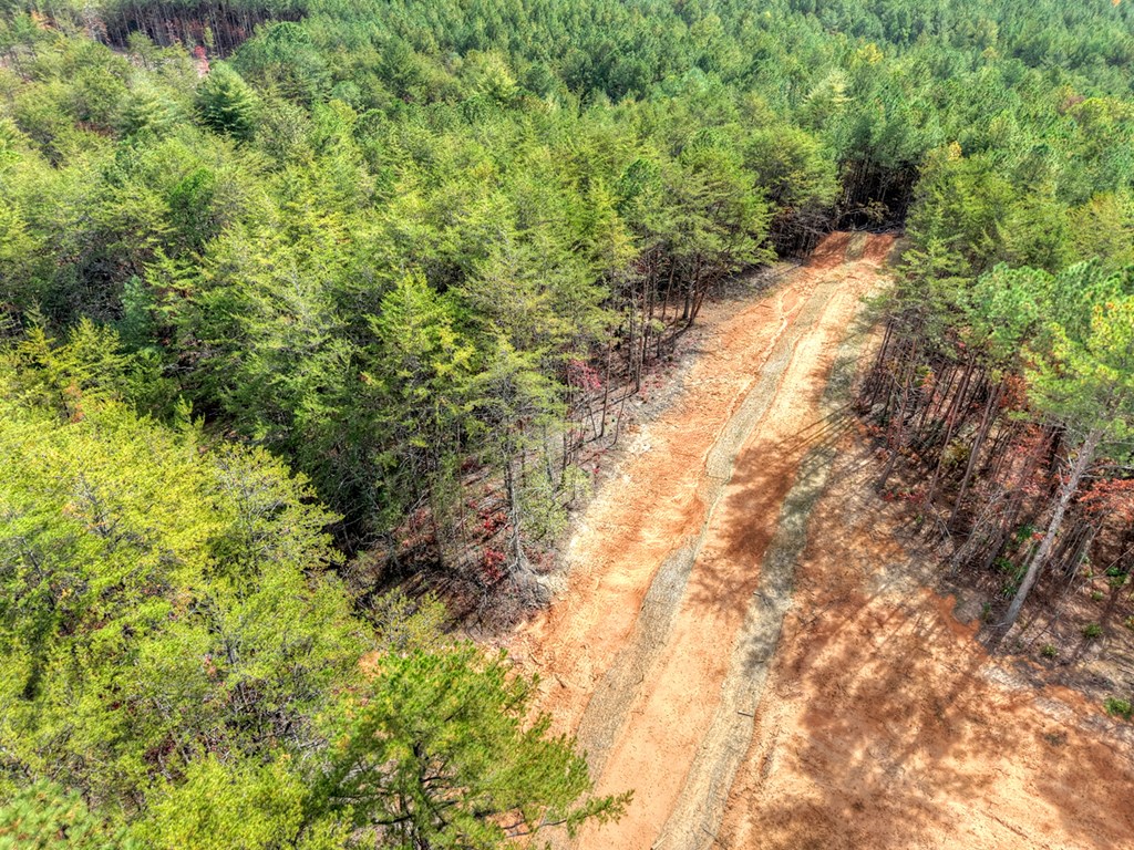 29.40 Ac Bethlehem Road