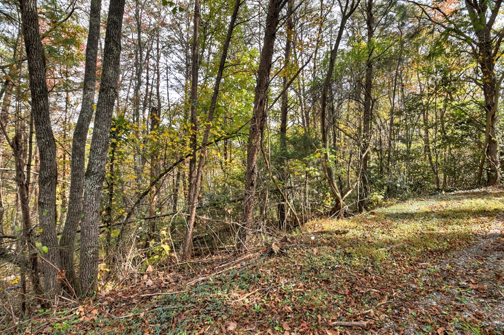 29.40 Ac Bethlehem Road