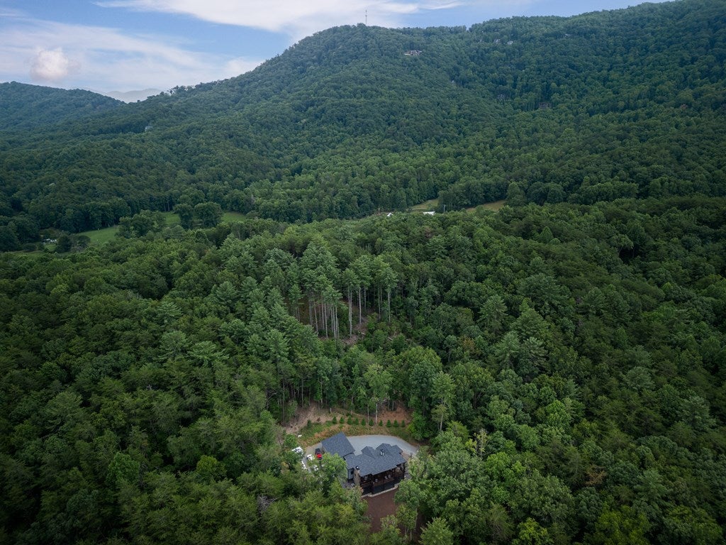 195 Moonshine Way, Blue Ridge, GA, 30513, USA, 3 Bedrooms Bedrooms, ,4 BathroomsBathrooms,Residential,Active,195 Moonshine Way,434942