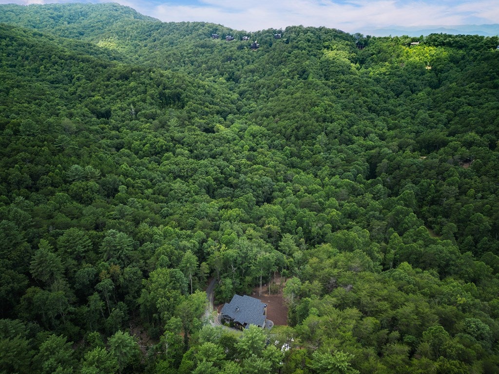 195 Moonshine Way, Blue Ridge, GA, 30513, USA, 3 Bedrooms Bedrooms, ,4 BathroomsBathrooms,Residential,Active,195 Moonshine Way,434942