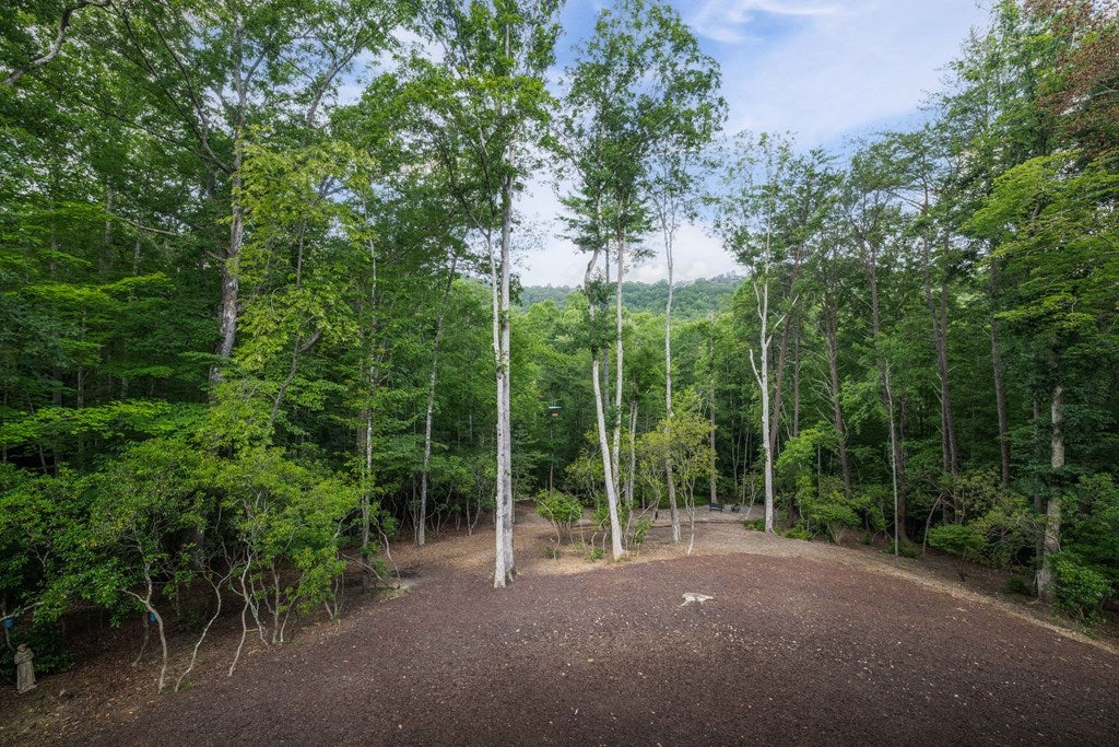 195 Moonshine Way, Blue Ridge, GA, 30513, USA, 3 Bedrooms Bedrooms, ,4 BathroomsBathrooms,Residential,Active,195 Moonshine Way,434942