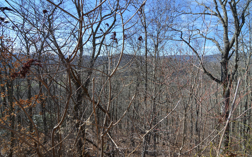 Lot 60M Mountain Harbour Drive