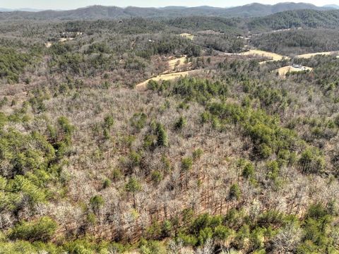 48.4ac Lofty Heights Mineral Bluff GA 30559
