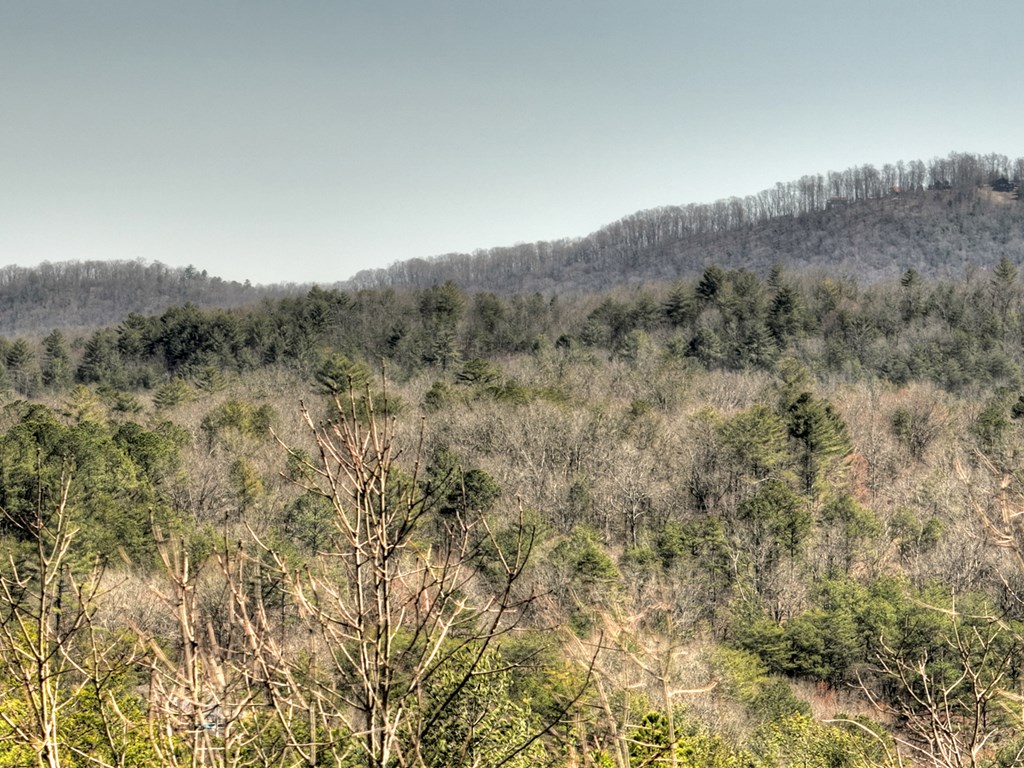 48.4ac Lofty Heights