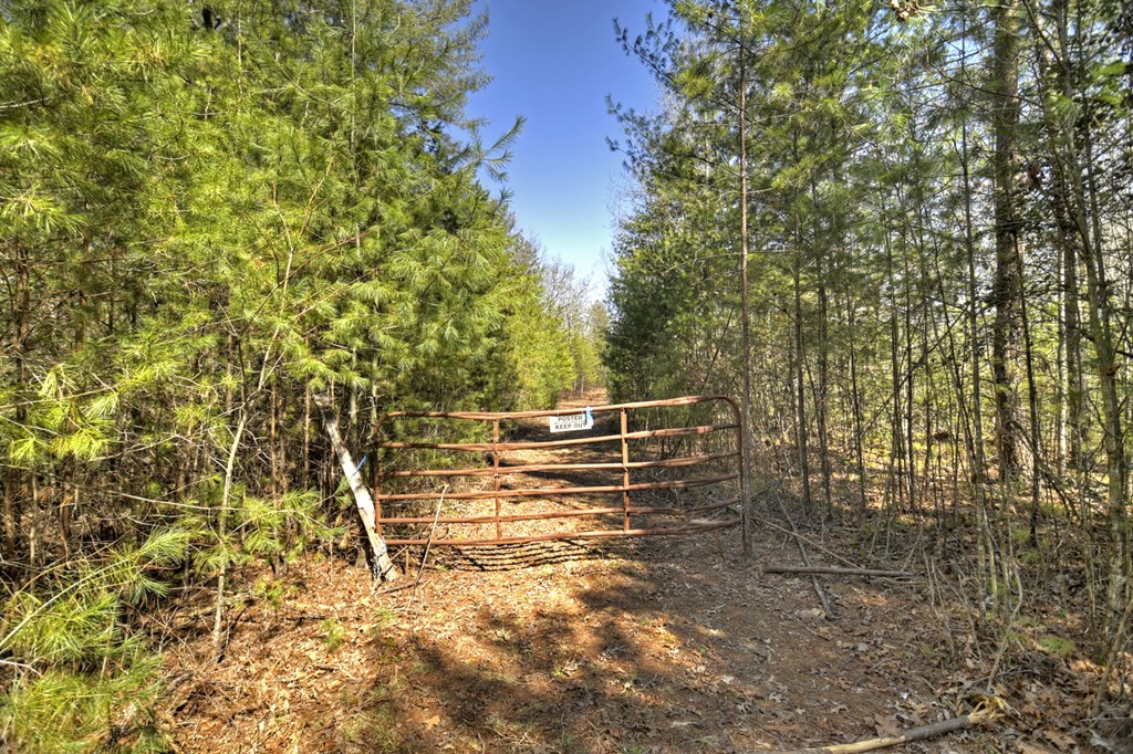 48.4ac Lofty Heights