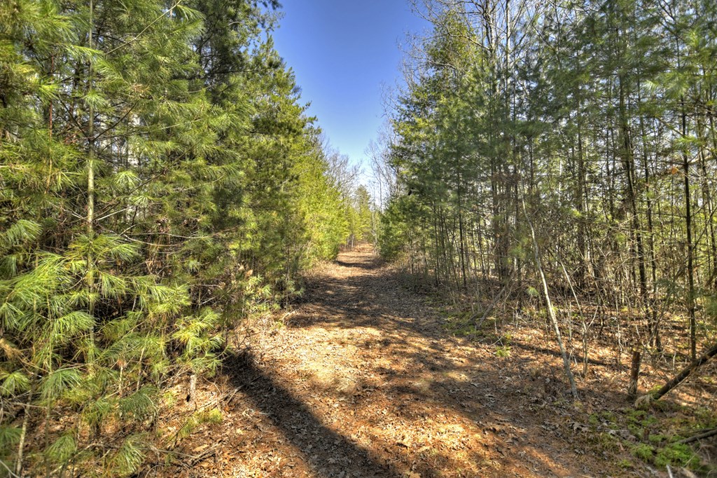 48.4ac Lofty Heights