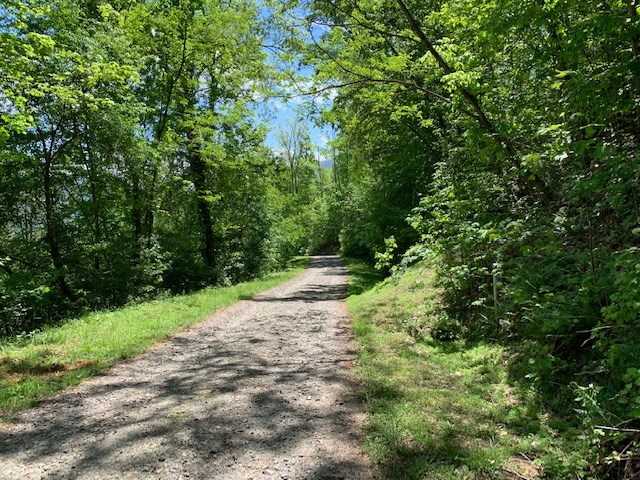 Lot 3 Morgan Ridge Drive