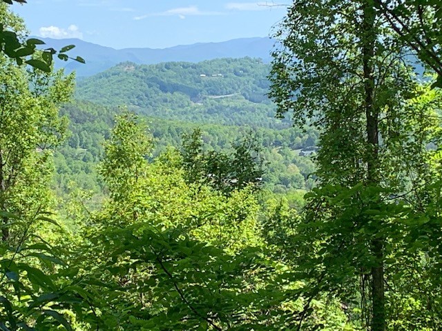 Lot 3 Morgan Ridge Drive