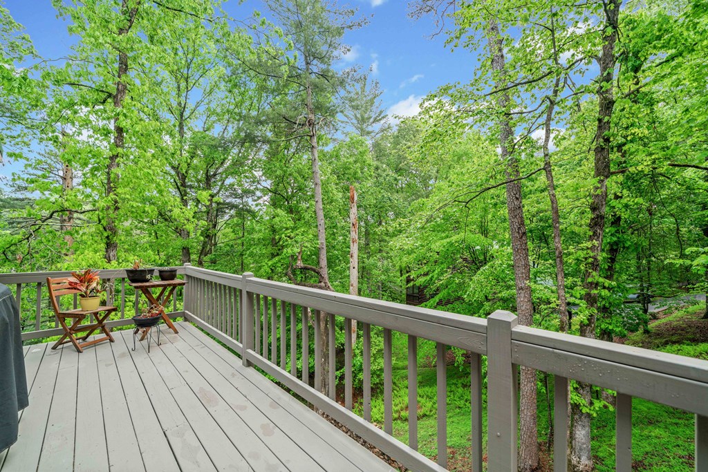 168 Spring Lake Drive